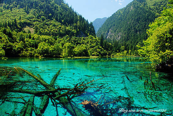 新浪旅游配图：九寨沟 摄影：J调de华丽